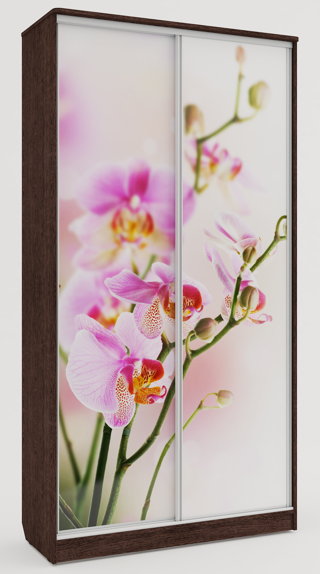 Шкаф купе с фотопечатью Орхидея